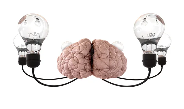 Brain And Lightbulb Imagination White — Stock Photo, Image