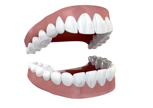 Teeth Set Open Isolated — Stock Photo, Image