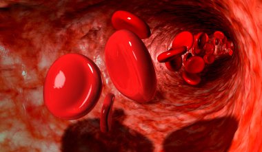 Blood Cells In A Vein clipart