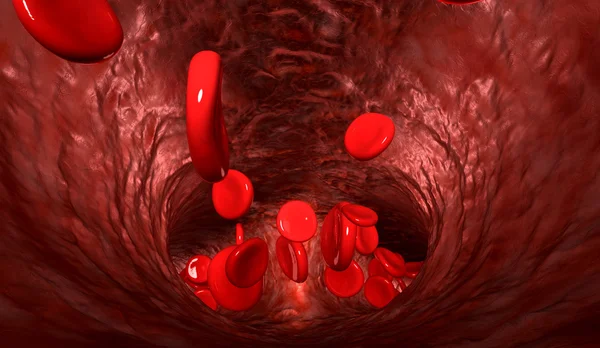 Células sanguíneas em uma veia — Fotografia de Stock