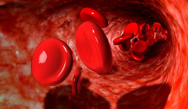 Krwinek w żyły — Zdjęcie stockowe