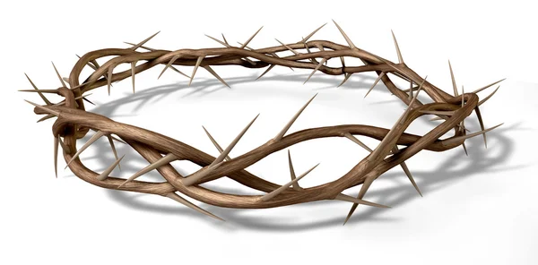 A Crown Of Thorns — Stock Photo, Image