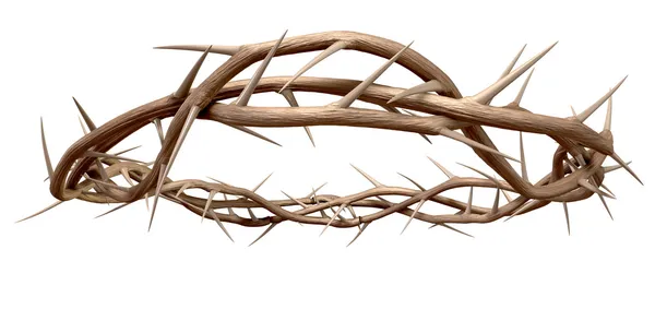 A Crown Of Thorns — Stock Photo, Image