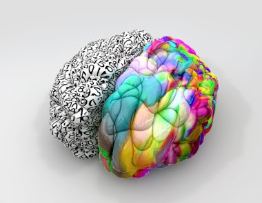 Left And Right Brain Concept Perspective