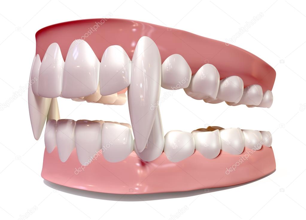 Vampire False Teeth Set Isolated