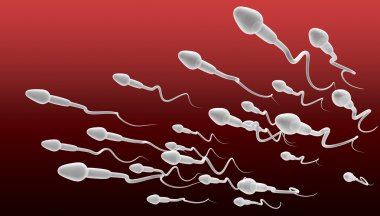 sperm Yüzme perspektif
