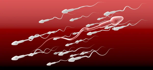 Weibliche Spermien gegen den Strom — Stockfoto