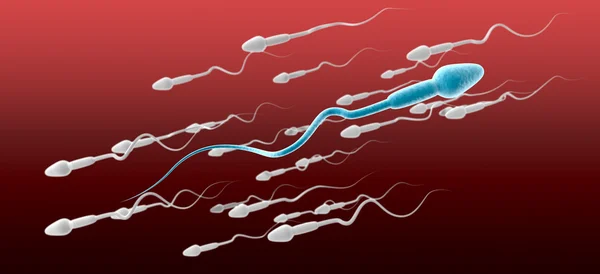 Esperma célula masculino contra o fluxo — Fotografia de Stock