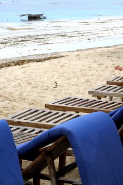 Zanzibar beyaz kum plaj ve tahta sandalyeler
