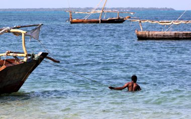 zanzibar mavi su dhows