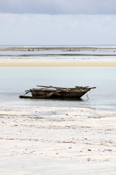 Dhows At Low Tide In Zanzibar