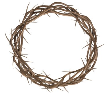 Crown Of Thorns Top clipart