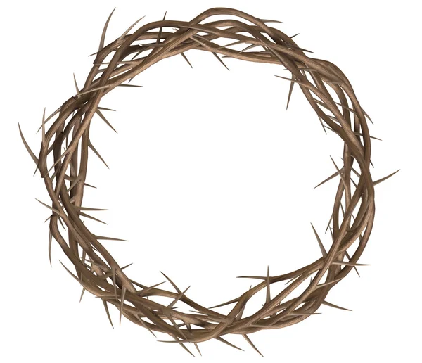 Crown Of Thorns Top — Stock Photo, Image