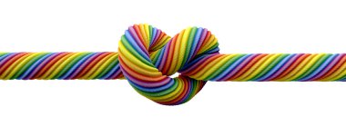 tie knot eşcinsel evlilik