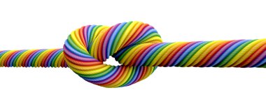 tie knot eşcinsel evlilik