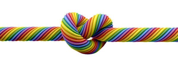 Tie The Knot Gay Marriage