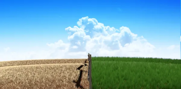 çit ile yeşil otlaklar