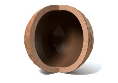 içinde fındık kabuğu