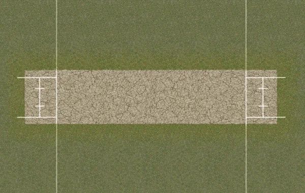 Cricket Pitch Top View — Stock Photo, Image