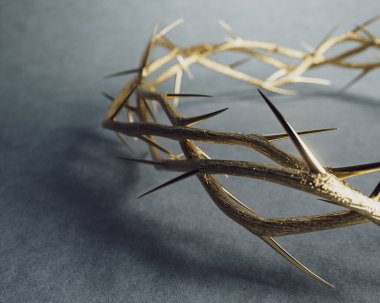 Branches of thorns made of gold woven into a crown depicting the crucifixion casting a shadow on a soft studio background - 3D render clipart