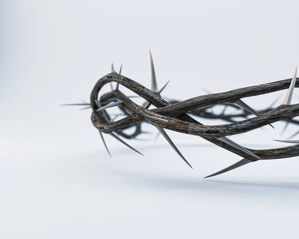 Branches Thorns Woven Crown Depicting Crucifixion Isolated White Background Render —  Fotos de Stock