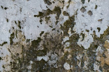 Çatı katı tarzı alçı duvarlar, gri, beyaz, duvar kağıdı olarak kullanılan boş alan. Ev tasarımında ve iç tasarımında popülerdir. Kopya boşluklarıyla.
