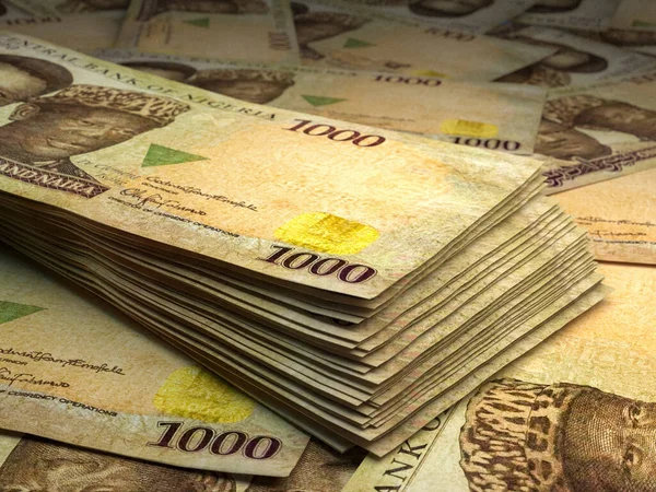 Geld Aus Nigeria Nigerianische Naira Rechnungen Ngn Banknoten 1000 Polymer — Stockfoto