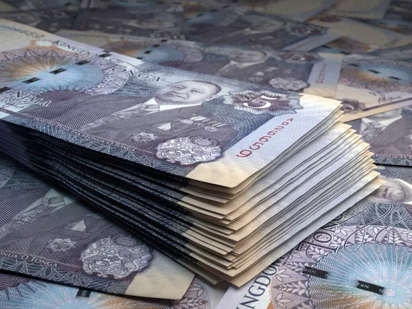 Money Tonga Paanga Bills Top Banknotes Tongese Business Finance News — Stock Photo, Image