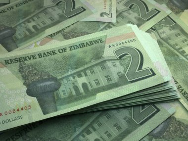 Zimbabwe 'nin parası. Zimbabve dolarları. ZWL banknotları. 2 dolar. İş, finans, haber geçmişi. 3d illüstrasyon.