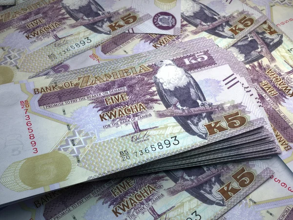 Money Zambia Kwacha Bills Zmw Banknotes Bemba Business Finance News — Stock Photo, Image