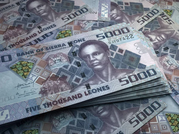 Dinheiro Serra Leoa Notas Leone Notas Sll 5000 Mende Negócios — Fotografia de Stock