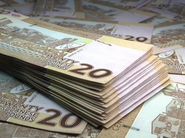 Sudan 'ın parası. Sudan sterlinli banknotlar. SDG banknotları. 10 kilo. İş, finans, haber geçmişi. 3d illüstrasyon.