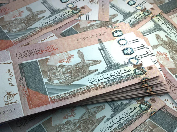 Szudán Pénze Szudáni Fontszámlák Sdg Bankjegyek Font Üzlet Pénzügy Hírek — Stock Fotó