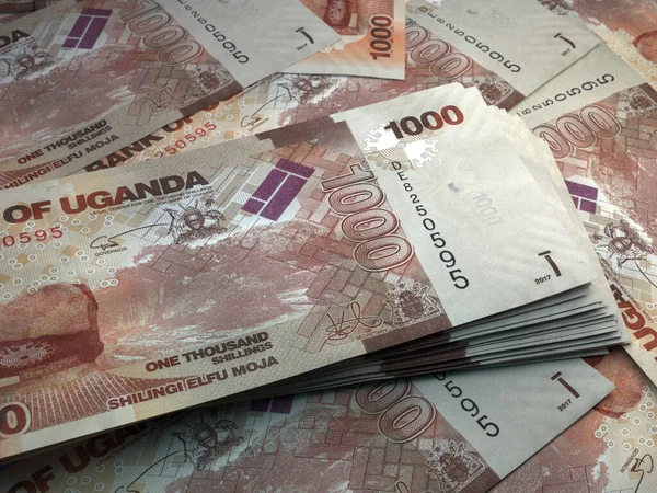 Dinero Uganda Facturas Chelines Billetes Ugx 1000 Ganga Negocios Finanzas — Foto de Stock