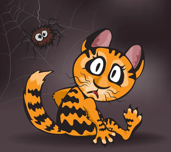 Gyömbér macska és a spider — Stock Vector