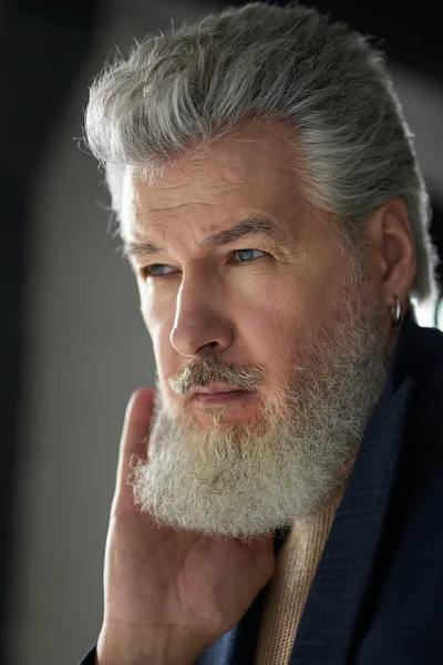 Face closeup of stylish pensive grey haired middle aged man looking away, touching his beard while posing indoors. Lifestyle, people concept