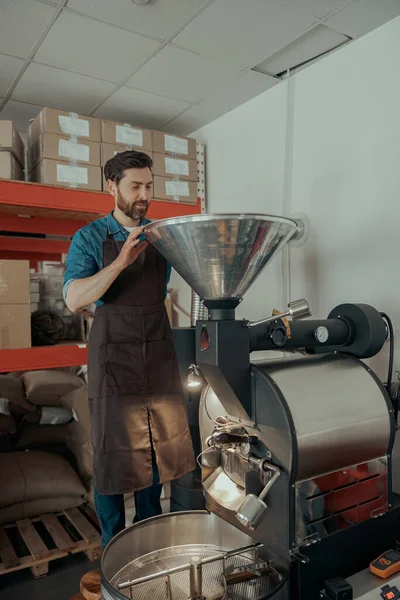 Entrepreneur pouring raw coffee beans into a modern roasting machine. Small business concept