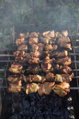 Barbekü piknik içinde