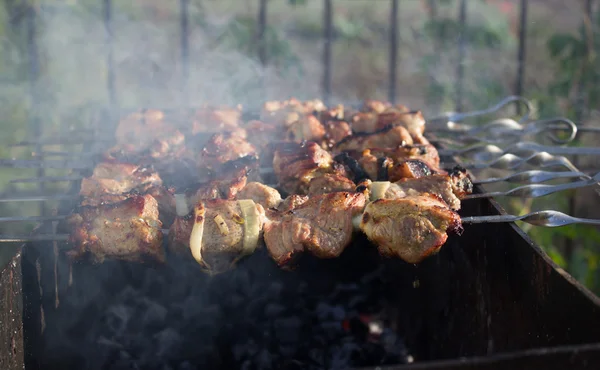 Barbekü piknik içinde