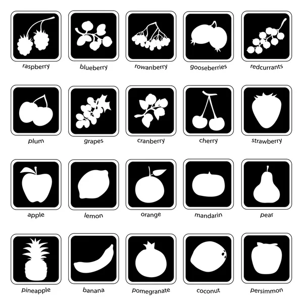 Fruit and Berries icon set — Stock Vector