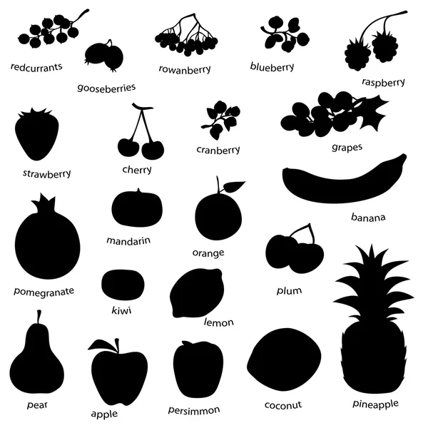 Fruit set (vector) — Stock Vector