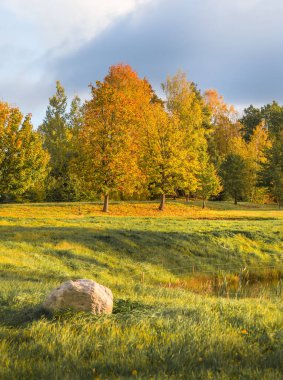 Tarlası olan güzel bir sonbahar manzarası. Kuzey Avrupa 'nın sonbahar manzarası.
