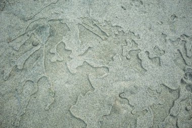 Eylül 'de fiyortlarda güzel bir Norveç manzarası. Kuzey Avrupa 'nın muhteşem manzarası.