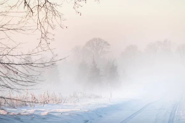 Een Prachtig Besneeuwd Zonsopgang Landschap Met Een Weg Winterochtend Landschap — Stockfoto