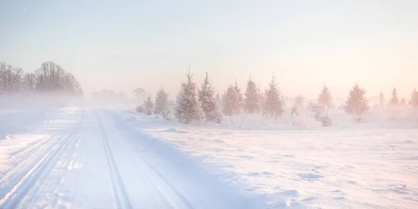 Красивый Заснеженный Пейзаж Дорогой Зимний Утренний Пейзаж Северной Европы — стоковое фото