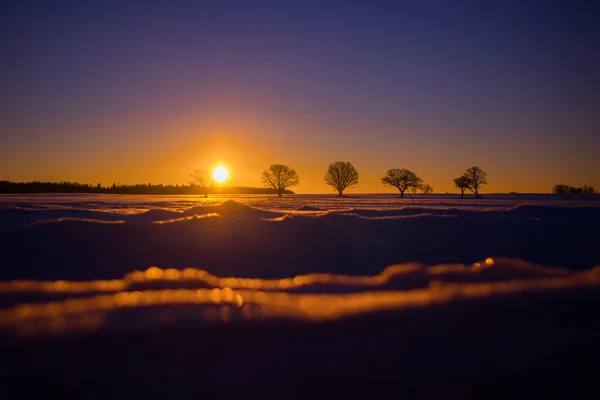 Beautiful Winter Landscape Sunrise Low Perspective Snowy Morning Scenery Northern — Stock Photo, Image