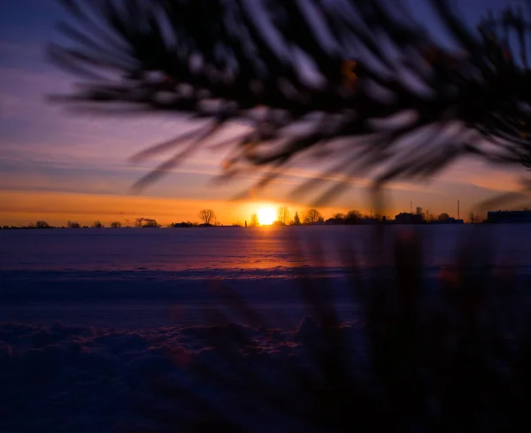 Eine Wunderschöne Wintersonnenaufgangslandschaft Mit Ästen Verschneite Landschaft Nordeuropas — Stockfoto