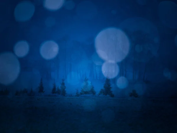 Темні Зимові Пейзажі Білим Сніговим Боке Снігове Північній Європі Сніжний — стокове фото