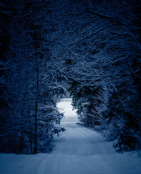 Темні Зимові Пейзажі Рано Вранці Сніжний Пейзаж Під Час Сутінок — стокове фото