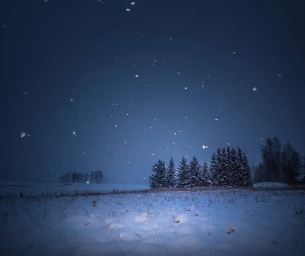 Een Prachtig Donker Winterlandschap Tijdens Het Sneeuwen Heldere Witte Sneeuwvlokken — Stockfoto